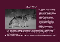 Prezentációk 'Alaska Fauna', 5.                