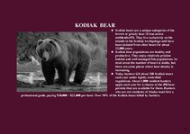 Prezentációk 'Alaska Fauna', 9.                