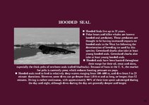 Prezentációk 'Alaska Fauna', 13.                