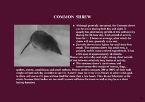 Prezentációk 'Alaska Fauna', 16.                