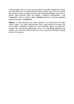 Összefoglalók, jegyzetek 'Athéni demokrácia - középszintű szóbeli érettségi tétel', 4.                