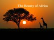 Prezentációk 'The Beauty of Africa', 1.                