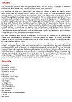 Összefoglalók, jegyzetek 'P.Sándor Apostol', 1.                