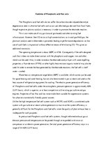 Összefoglalók, jegyzetek 'Phosphoric Fuel Cell', 4.                