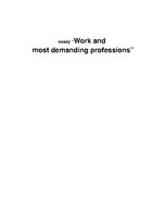 Esszék 'Work and Most Demanding Professions', 1.                