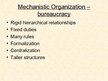 Prezentációk 'Basic Organization Designs', 14.                