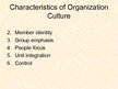 Prezentációk 'Basic Organization Designs', 20.                