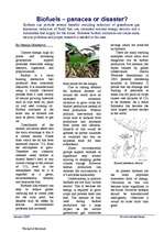 Összefoglalók, jegyzetek 'Biofuel', 1.                