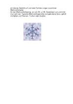 Esszék 'Was weiß ich über die Traditionen in Deutschland?', 2.                