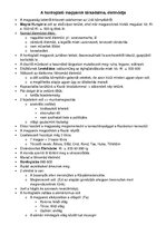 Összefoglalók, jegyzetek 'A honfoglaló magyarok társadalma, életmódja', 1.                