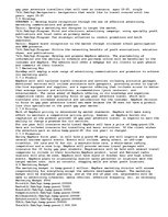 Esszék 'Marketing Plan for Insurance Company', 8.                