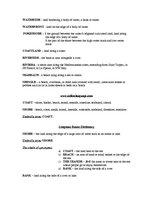 Összefoglalók, jegyzetek 'Chain of Synonyms: Shore, Bank, Beach, Coast, Littoral, Strand', 6.                