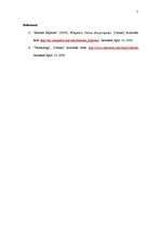 Esszék 'Internet Using Purposes', 5.                