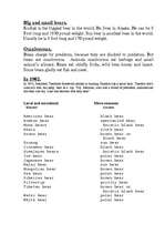 Kutatási anyagok 'Bears', 2.                