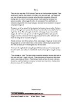 Kutatási anyagok 'Importance of Trees Today', 6.                