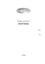 Kutatási anyagok 'Strategic Management in JSC "SAF Tehnika"', 2.                