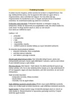 Összefoglalók, jegyzetek 'Számvitel alapismeretek I. Teljes Help', 13.                