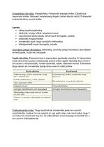 Összefoglalók, jegyzetek 'Számvitel alapismeretek I. Teljes Help', 14.                