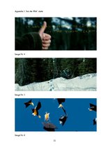 Záródolgozatok 'Methods of the Biographical Picture "Into the Wild" Creation from the Biography ', 56.                