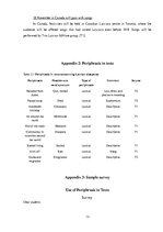 Kutatási anyagok 'Periphrasis in Texts', 13.                