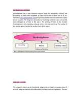 Záródolgozatok 'Business - Marketing Plan', 7.                