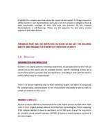 Záródolgozatok 'Business - Marketing Plan', 10.                