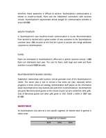 Záródolgozatok 'Business - Marketing Plan', 18.                