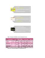 Záródolgozatok 'Business - Marketing Plan', 39.                