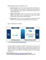 Záródolgozatok 'Business - Marketing Plan', 40.                