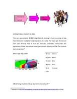 Záródolgozatok 'Business - Marketing Plan', 60.                