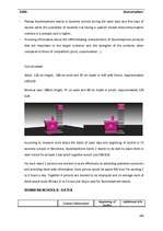 Záródolgozatok 'Business - Marketing Plan', 109.                