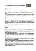 Összefoglalók, jegyzetek 'Benetton Group', 3.                