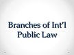 Prezentációk 'Branches of International Public Law', 1.                