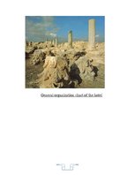 Kutatási anyagok 'Internship Report', 9.                