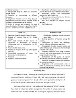 Kutatási anyagok 'Tourist Destination - Resort City Jurmala', 10.                