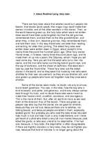 Kutatási anyagok 'Andrew Lang - "More favourite fairy tales"', 3.                