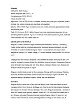 Összefoglalók, jegyzetek 'The Basic Information about Belgium', 2.                