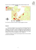 Kutatási anyagok 'Flower Workshop in the Flevoland', 11.                