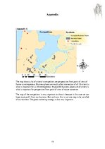 Kutatási anyagok 'Flower Workshop in the Flevoland', 18.                