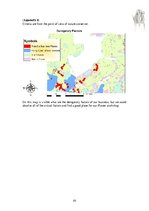 Kutatási anyagok 'Flower Workshop in the Flevoland', 20.                