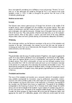 Kutatási anyagok 'Medieval Music', 23.                