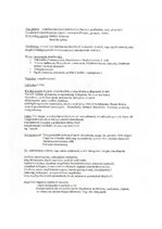 Összefoglalók, jegyzetek 'Pneumonia', 4.                