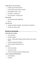 Összefoglalók, jegyzetek 'A két polusú világ', 5.                