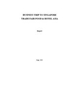 Kutatási anyagok 'Business Trip to Singapore', 1.                