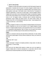 Kutatási anyagok 'Business Trip to Singapore', 3.                