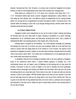 Kutatási anyagok 'Business Trip to Singapore', 13.                