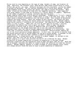 Esszék 'Bungee Jumping', 2.                