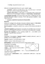 Összefoglalók, jegyzetek 'A közgazdaságtan létrejötte, vizsgálódási módszerei, kérdései, alapfogalmai', 2.                