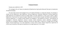 Minták 'Company Structure', 1.                