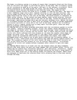 Esszék 'Human Circulatory System:Sickel Cell', 1.                